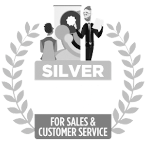 Stevie Awards - Silver